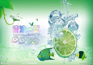 马克龙：法国将投票反对欧盟与南共市签署自贸协定